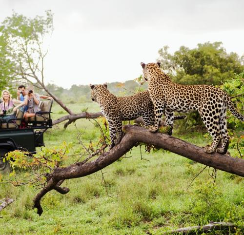 Южна Африка, Кралство Есватини и плажове в Мозамбик